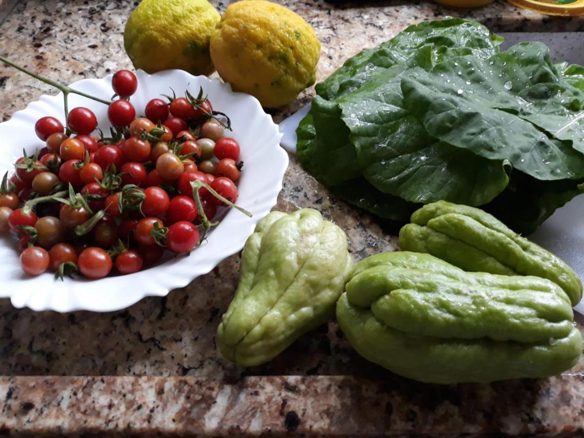 فيلا Casa Dos Sonhos - Alto Padrao غوابيميريم المظهر الخارجي الصورة
